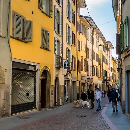 Feel - Minimal House - Centro